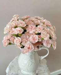 Carnation Spray Fleeting Time