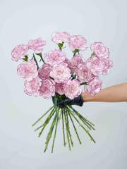 Carnation Purple Fairy