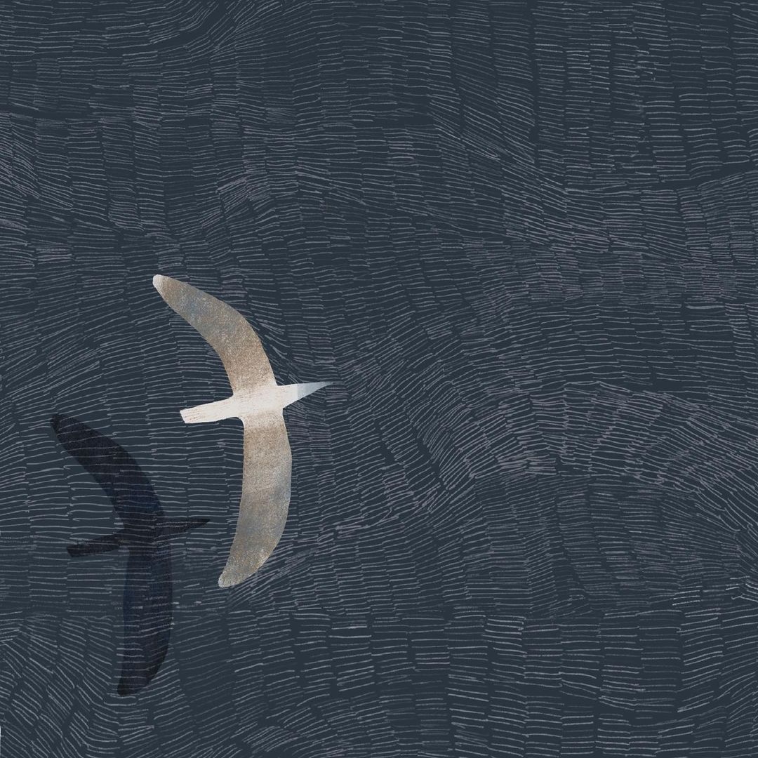 Основы ассертивной личности