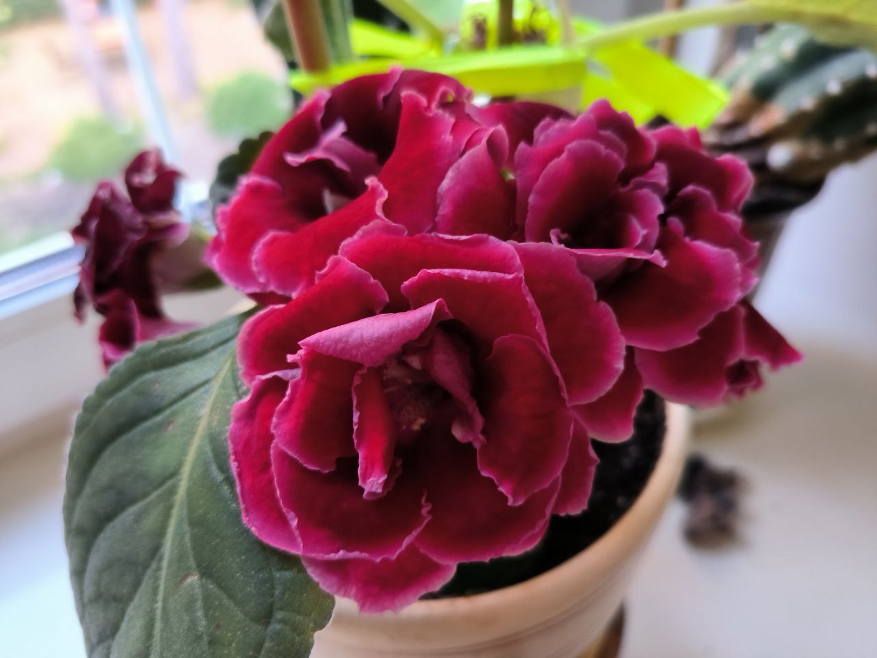 Учимся находить темы для Благодарности