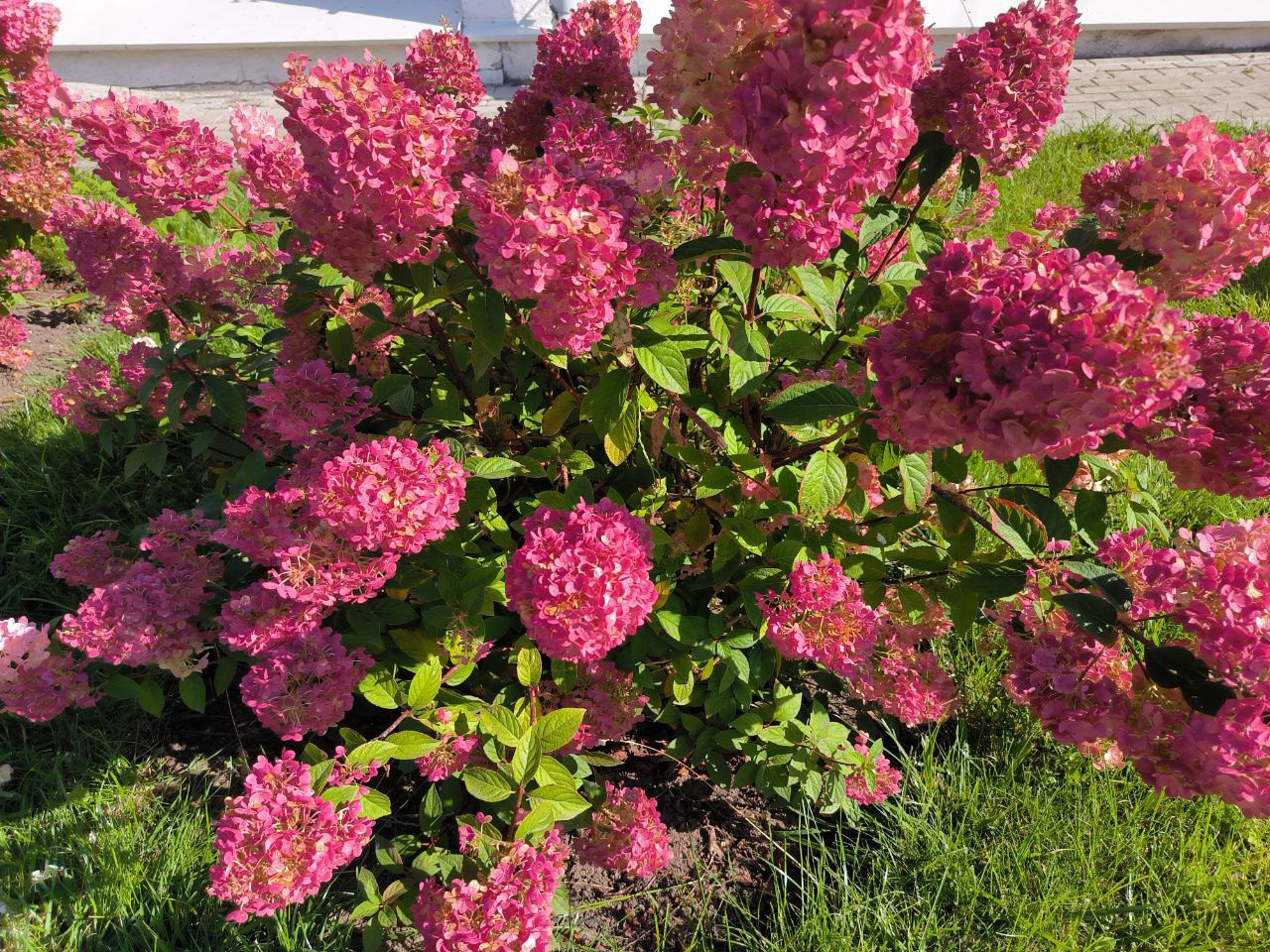 В звучании сила Благодарности!