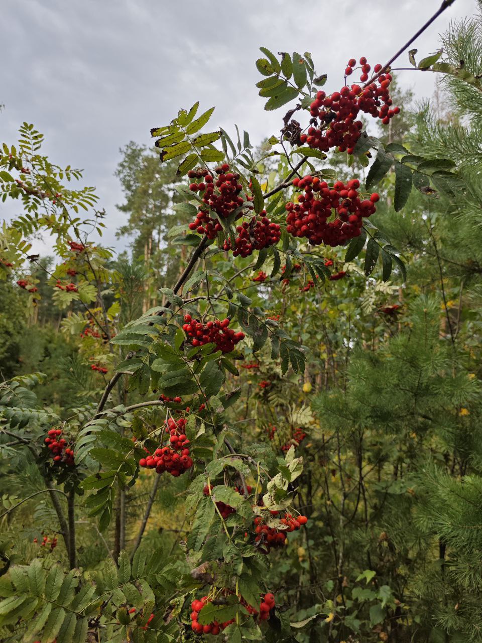 Благодарность как инструмент улучшение своей жизни.