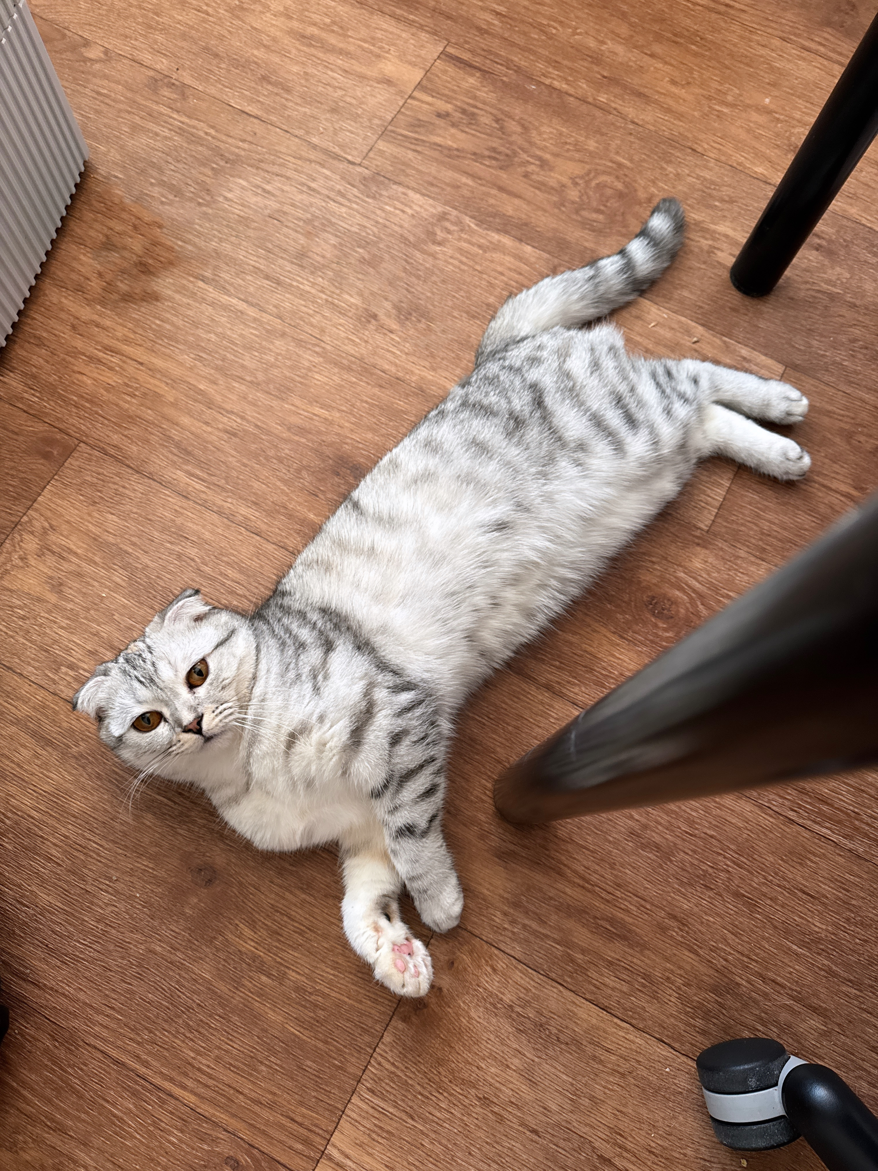 Я устаю от людей, почему?