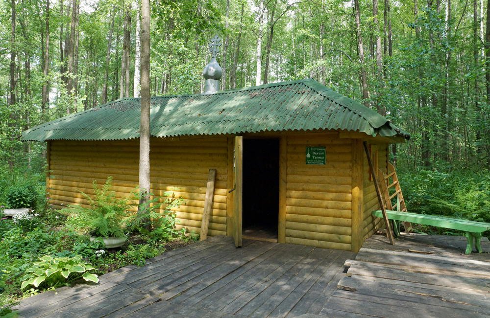 Часовня в честь Святой Троицы Живоначальной в д. Троице-Кочки